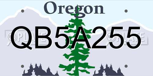 QB5A255 Oregon License Plate