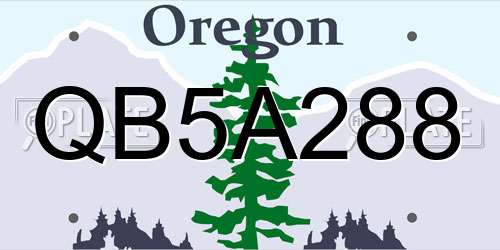 QB5A288 Oregon License Plate