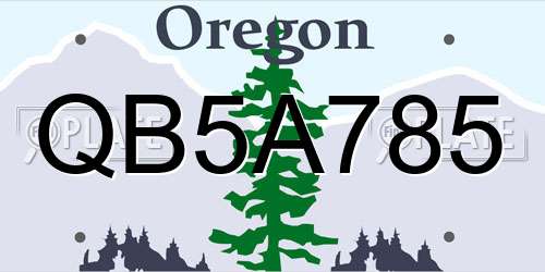 QB5A785 Oregon License Plate
