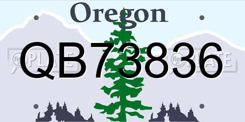 QB73836 Oregon License Plate