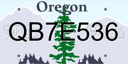 QB7E536 Oregon License Plate