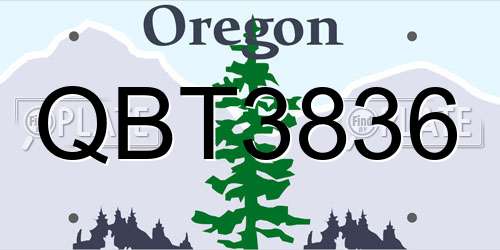 QBT3836 Oregon License Plate