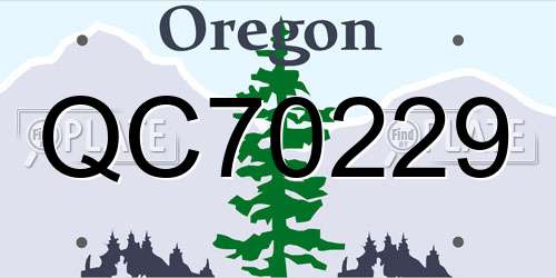 QC70229 Oregon License Plate
