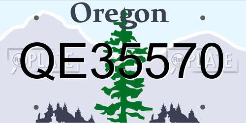 QE35570 Oregon License Plate
