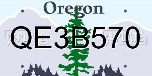 QE3B570 Oregon License Plate