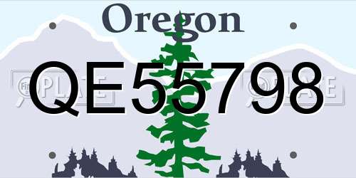 QE55798 Oregon License Plate