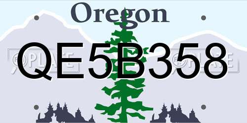 QE5B358 Oregon License Plate