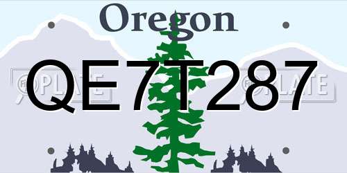 QE7T287 Oregon License Plate