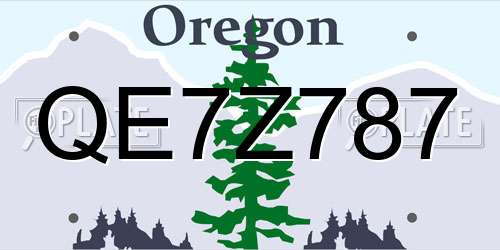 QE7Z787 Oregon License Plate