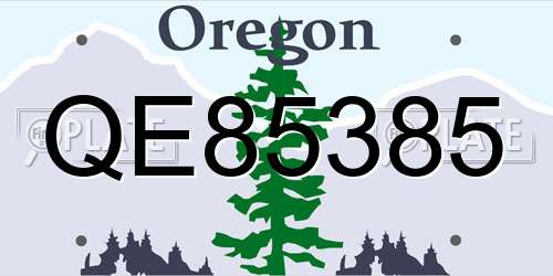 QE85385 Oregon License Plate