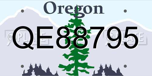QE88795 Oregon License Plate