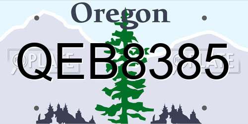 QEB8385 Oregon License Plate
