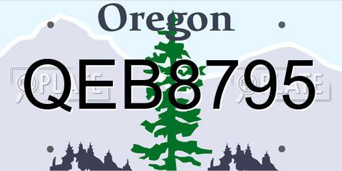 QEB8795 Oregon License Plate