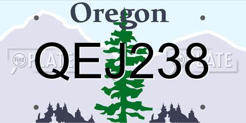 QEJ238 Oregon License Plate
