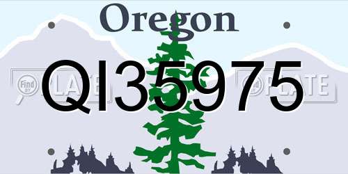 QI35975 Oregon License Plate