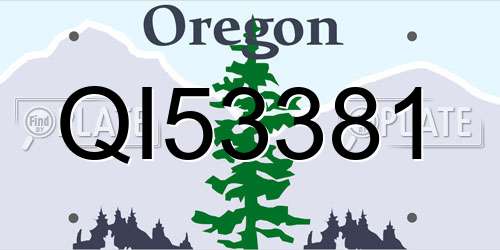QI53381 Oregon License Plate