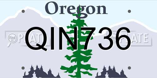 QIN736 Oregon License Plate