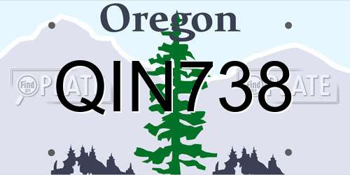 QIN738 Oregon License Plate