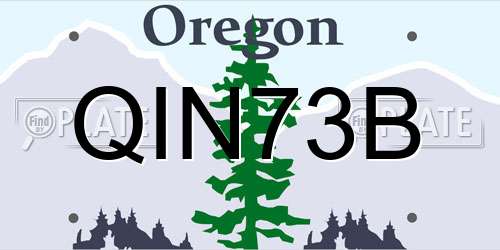 QIN73B Oregon License Plate