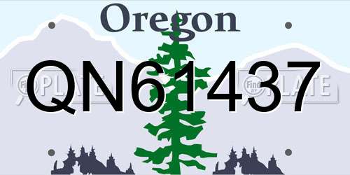 QN61437 Oregon License Plate
