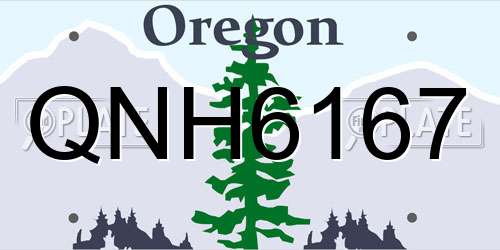 QNH6167 Oregon License Plate