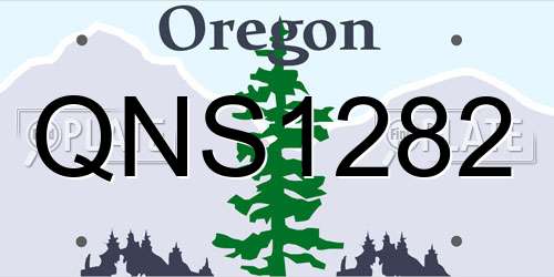 QNS1282 Oregon License Plate