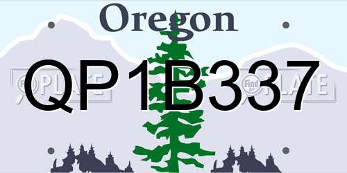 QP1B337 Oregon License Plate