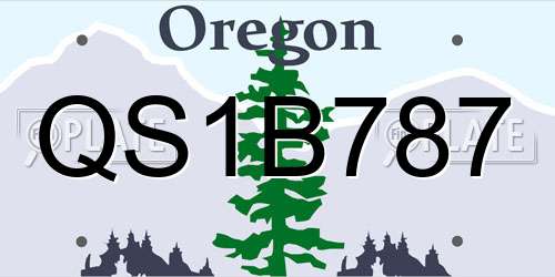 QS1B787 Oregon License Plate