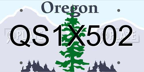 QS1X502 Oregon License Plate