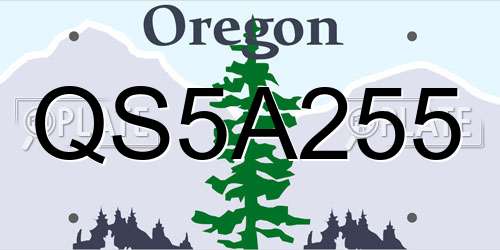 QS5A255 Oregon License Plate