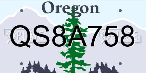 QS8A758 Oregon License Plate