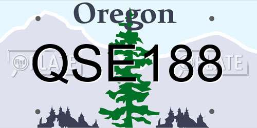 QSE188 Oregon License Plate