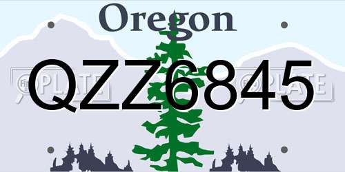 QZZ6845 Oregon License Plate