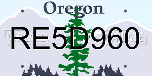 RE5D960 Oregon License Plate