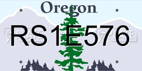 RS1E576 Oregon License Plate