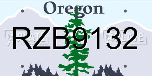 RZB9132 Oregon License Plate