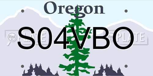 S04VBO Oregon License Plate