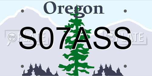 S07ASS Oregon License Plate