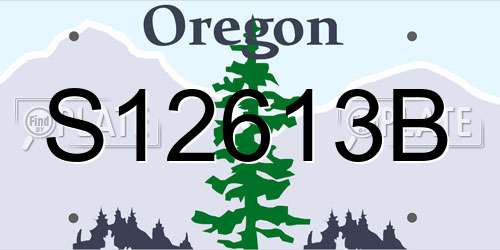 S12613B Oregon License Plate