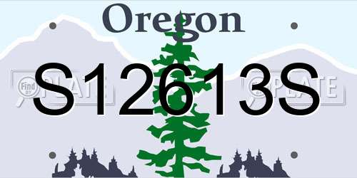 S12613S Oregon License Plate