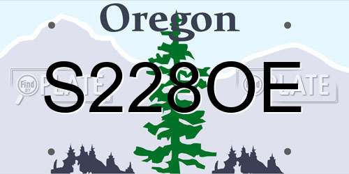 S228OE Oregon License Plate