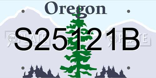 S25121B Oregon License Plate