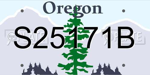 S25171B Oregon License Plate