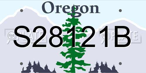 S28121B Oregon License Plate