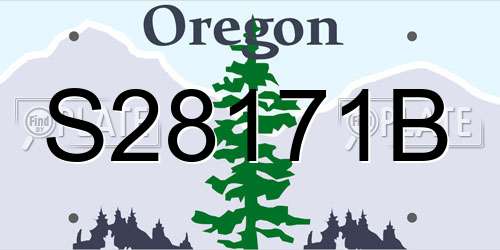 S28171B Oregon License Plate