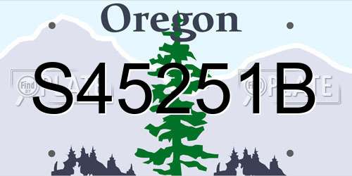 S45251B Oregon License Plate