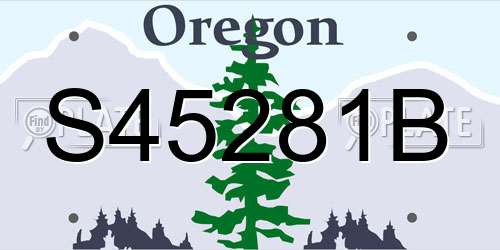 S45281B Oregon License Plate