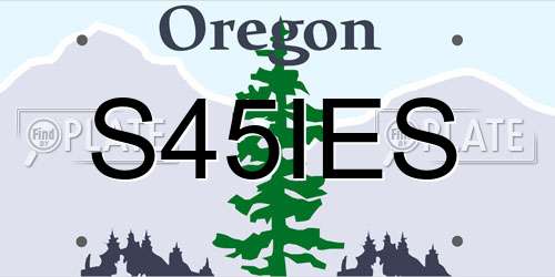S45IES Oregon License Plate