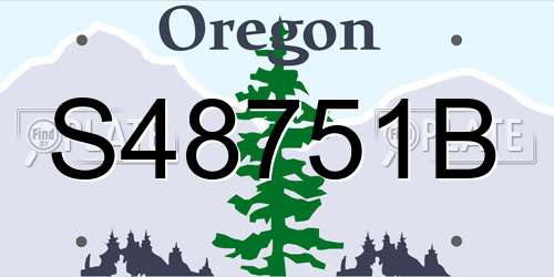 S48751B Oregon License Plate