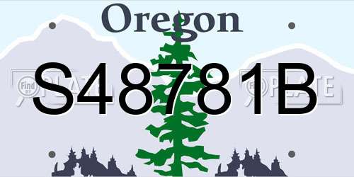 S48781B Oregon License Plate